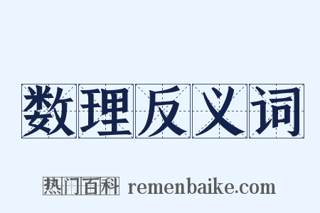 数理反义词是什么意思的图片